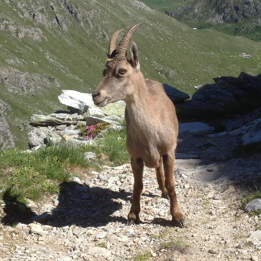Vacation Rental - Pralognan La Vanoise Savoie فرنسا