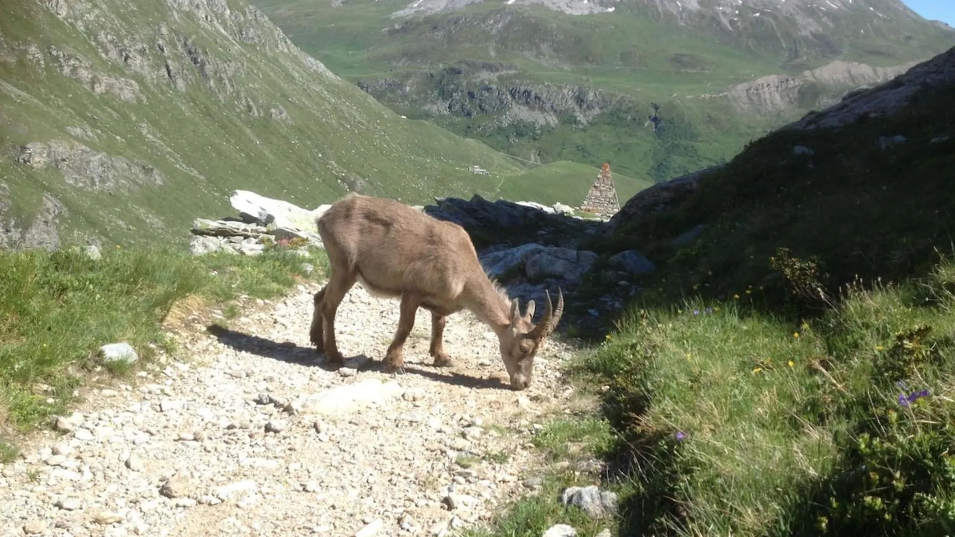 Vacation Rental - Pralognan La Vanoise Savoie فرنسا