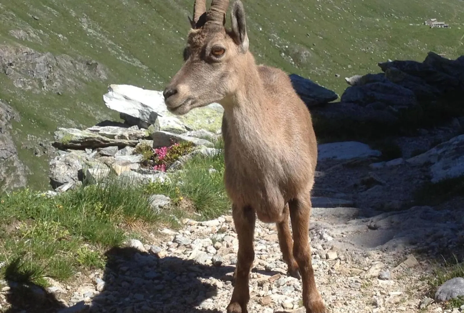 شقة Vacation Rental - Pralognan La Vanoise Savoie